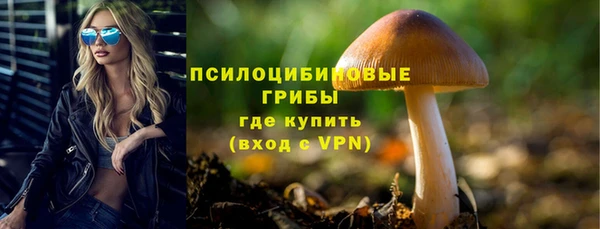 Альфа ПВП Балабаново