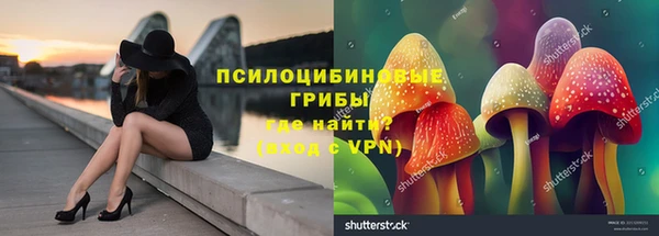 Альфа ПВП Балабаново