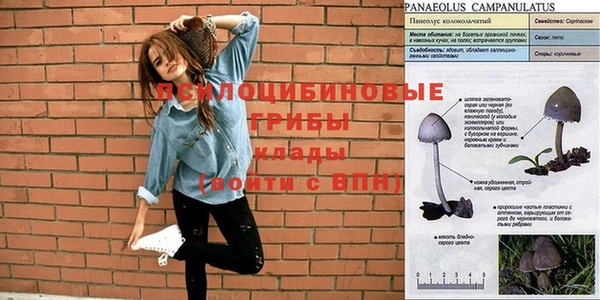 гашишное масло Арсеньев